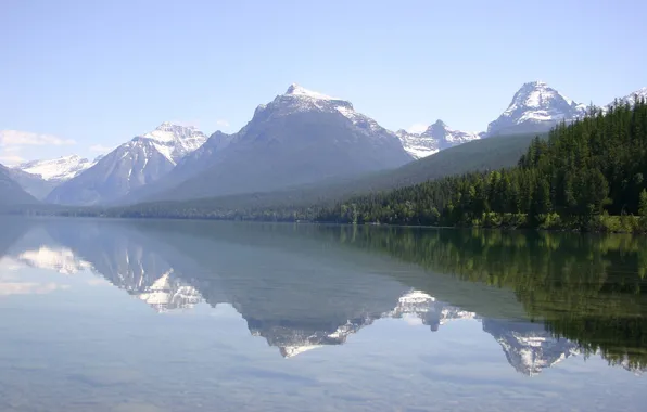 Forest, water, trees, landscape, mountains, nature, photo