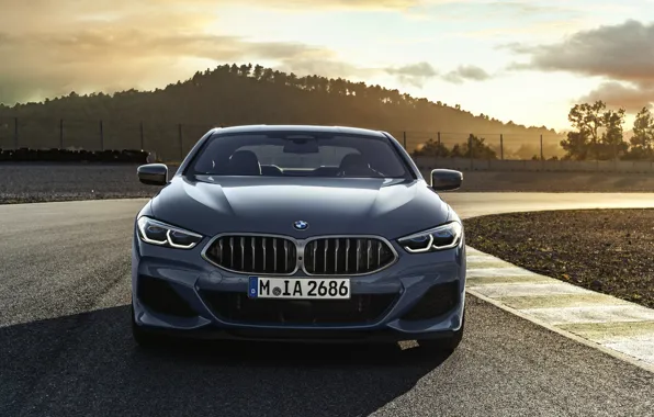 Coupe, track, BMW, front view, Coupe, 2018, gray-blue, 8-Series