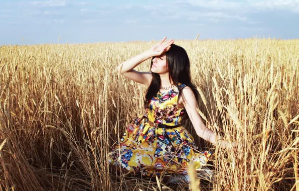 Picture field, the sky, girl, dress