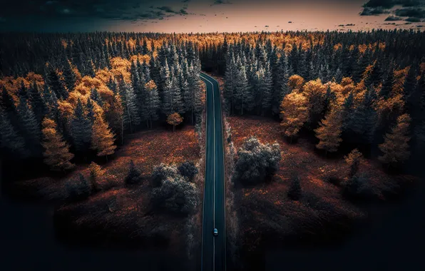 Road, autumn, forest, landscape, colorful, dark, forest, road