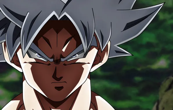 Look, guy, Dragon Ball, Dragonball