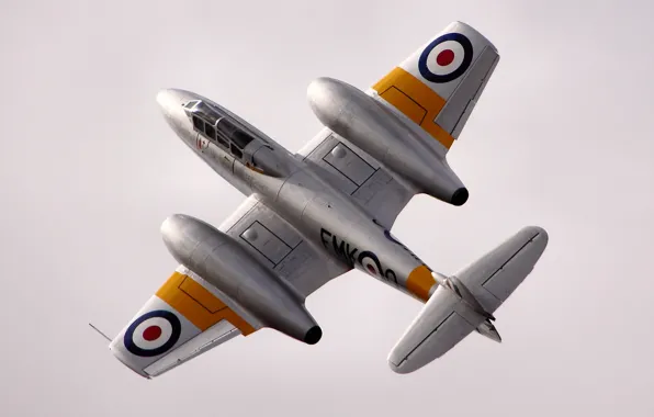 Picture flight, fighter, jet, British, Gloster Meteor
