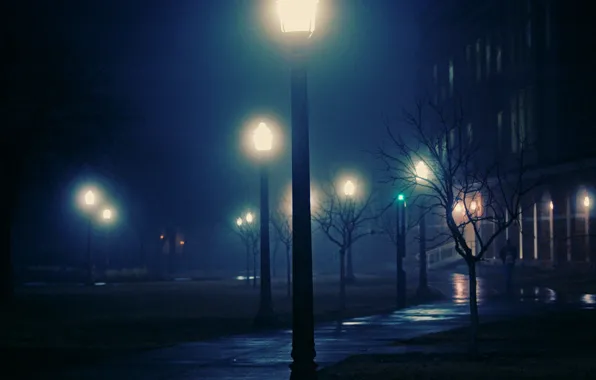 Picture night, the city, lights, fog, night, foggy