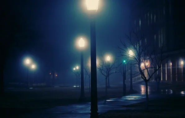 Night, the city, lights, fog, night, foggy