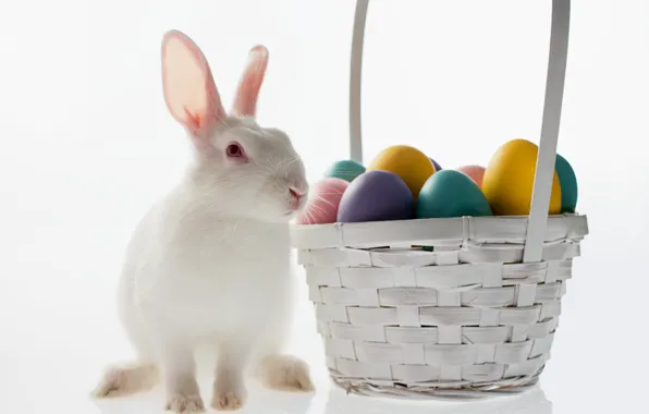 Basket, egg, rabbit, Easter, easter