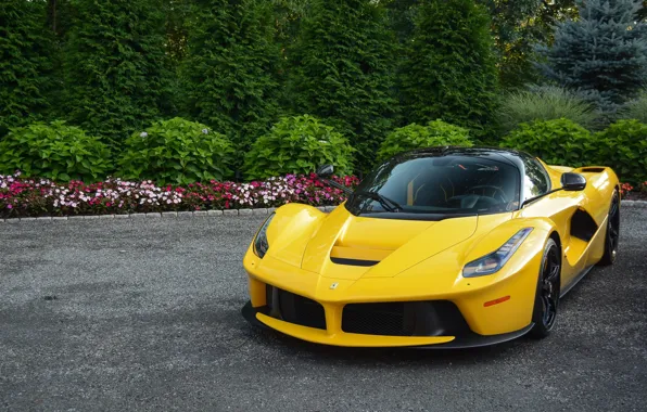 Black, Yellow, LaFerrari