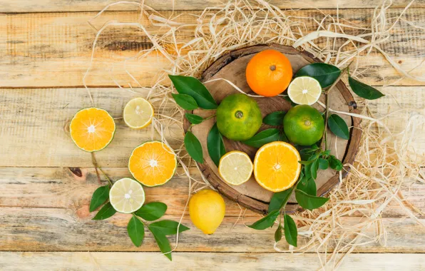 Leaves, branches, Board, oranges, lime, fruit, citrus, halves