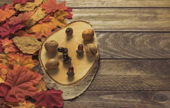 Picture autumn, leaves, background, colorful, Board, wood, acorns, background