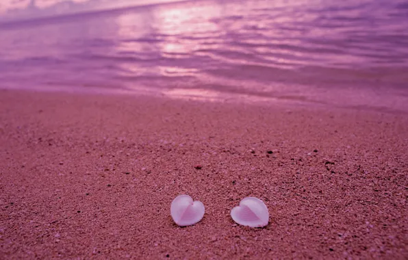 Sand, beach, love, pink, shore, heart, shell