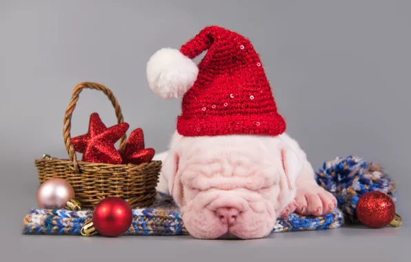 Picture white, stars, balls, pose, holiday, balls, hat, new year