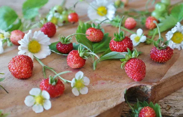 Picture flowers, berries, strawberries, Board