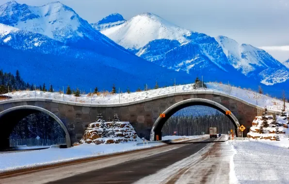 Winter, snow, mountains, bridge, daroga