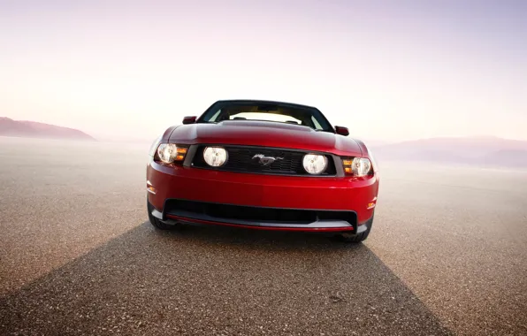 Picture Mustang, Ford, 2010
