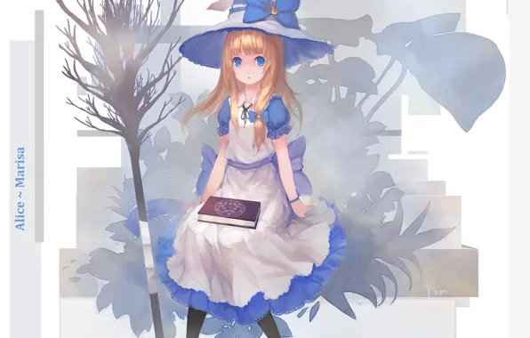 Broom, blue eyes, alice, alice in wonderland, blue dress, witch hat, witch, a magical artifact