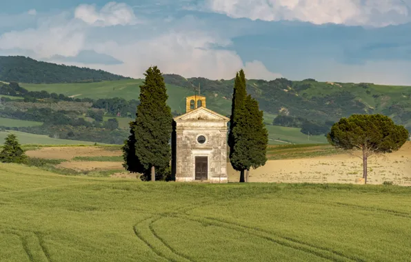 Field, Italy, Church, cypress, Tuscany