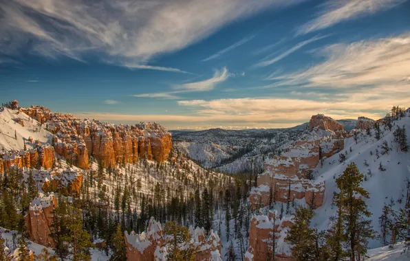 Picture winter, the sky, snow, trees, mountains, rocks, canyon