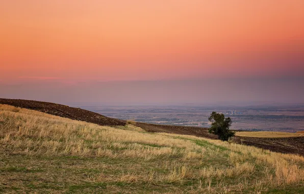 The sky, the steppe, slope, glow