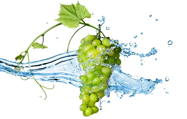 Picture berries, bunch, Grapes, water splashes