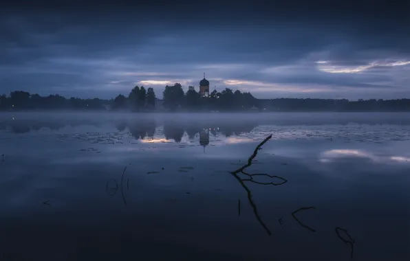 Picture landscape, nature, fog, river, shore, vegetation, morning, temple