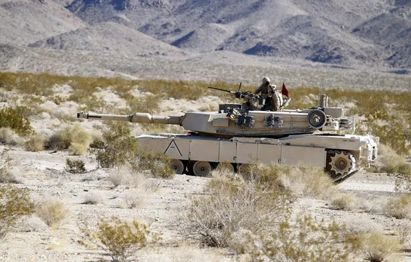 Field, weapons, tank