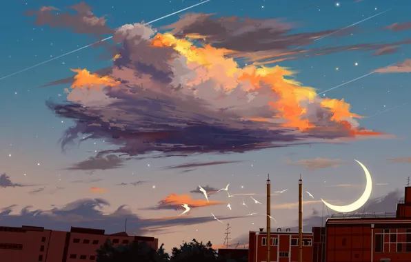 The sky, birds, the city, cloud, Crescent