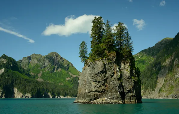 Trees, mountains, rock, lake