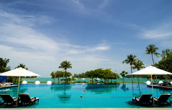 Picture sea, the sky, tropics, palm trees, pool, resort, Malaysia, sun loungers