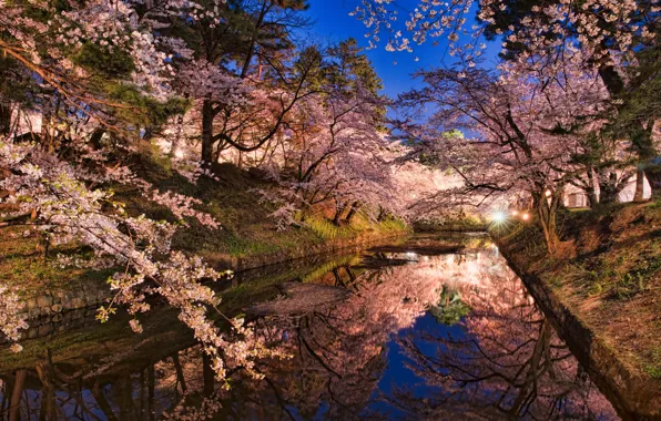 Water, reflection, night, the city, lights, spring, Japan, Sakura