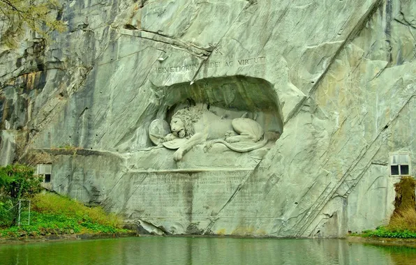 Grass, water, rock, lake, Leo, Switzerland, Switzerland, Lion