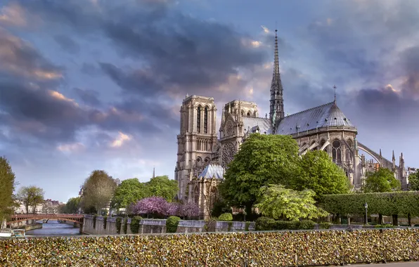 Paris, Paris, France, Notre Dame de Paris, cathedrale