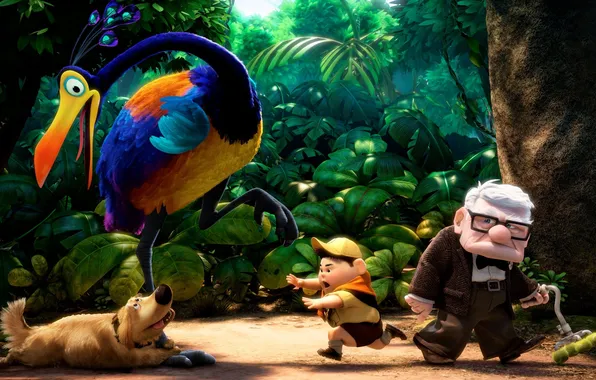 Forest, bird, cartoon, dog, boy, the old man, Pixar, Up!
