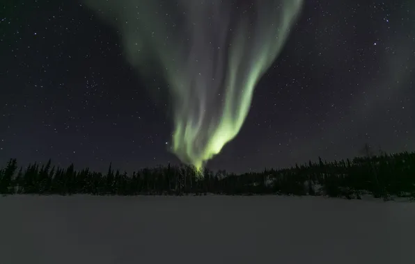 Picture the sky, stars, night, Northern lights, Northern Canada