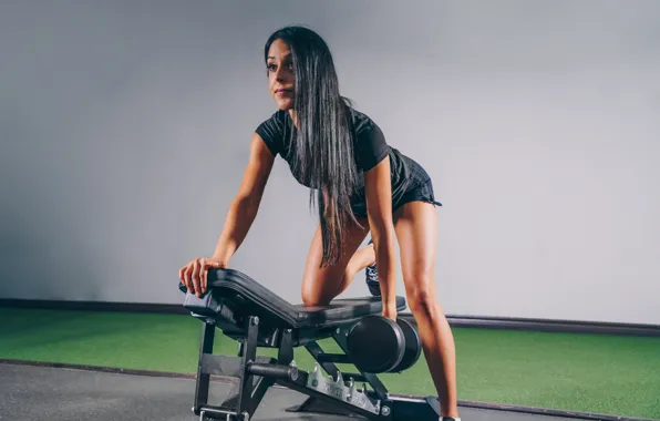 Fitness, bench, pose, training, dumbbells, workout, fitness, gym