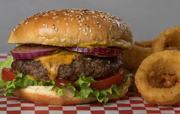 Picture hamburger, poison, sandwich, fast food