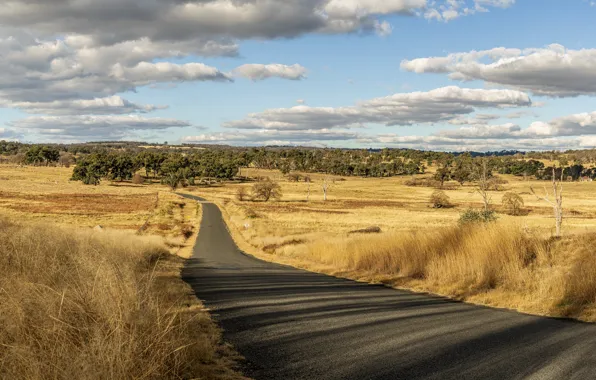 Australia, New South Wales, Rocky River