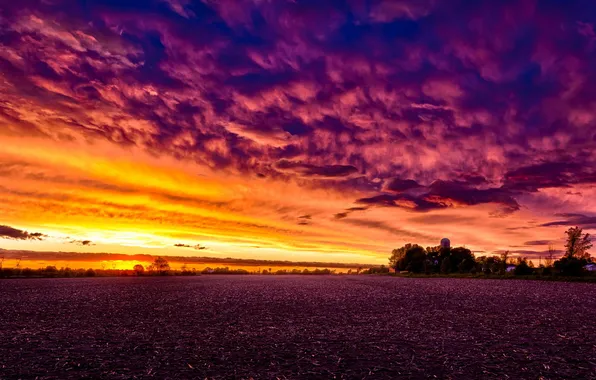 Field, landscape, sunset