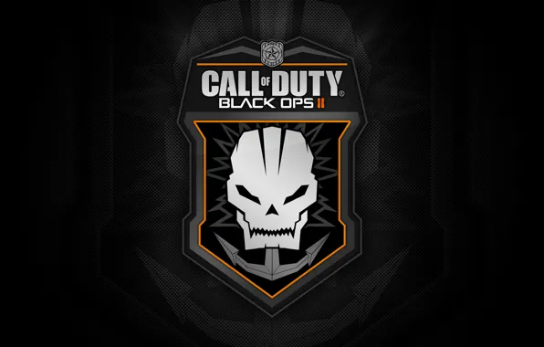 The game, skull, emblem, call of duty, COD, black ops 2