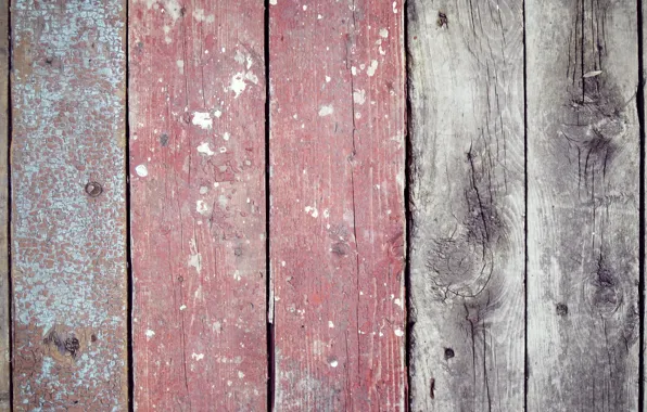 Tree, Board, paint