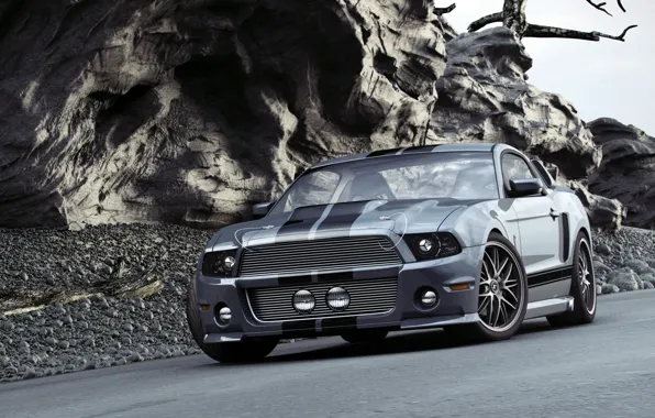 Shelby, GT500, Mustang, muscle car, Ford, Ford Mustang GT500