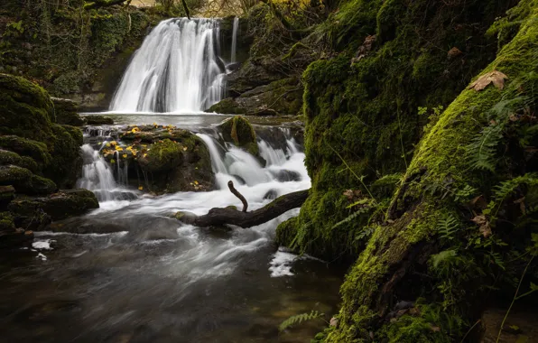 Picture river, England, waterfall, moss, England, North Yorkshire, North Yorkshire, Malham