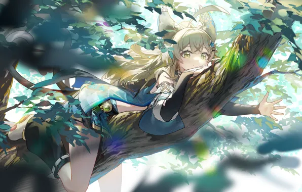 Picture cat, girl, trees, Kirara, Genshin Impact
