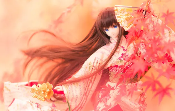 Hair, Japanese, doll, fan, maple, Kim