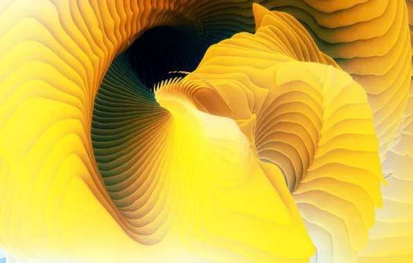 Line, pattern, paint, the volume