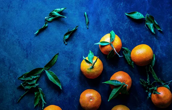 Leaves, contrast, fruit, blue background, tangerines