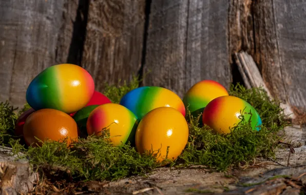 Holiday, bright, Board, Shine, moss, eggs, spring, Easter