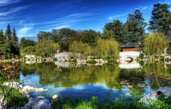 Picture nature, pond, garden, USA, California, San Marino, Chinese