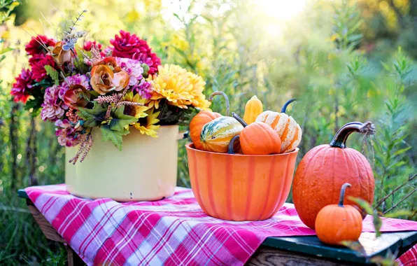 Flowers, bouquet, pumpkin, the gifts of autumn