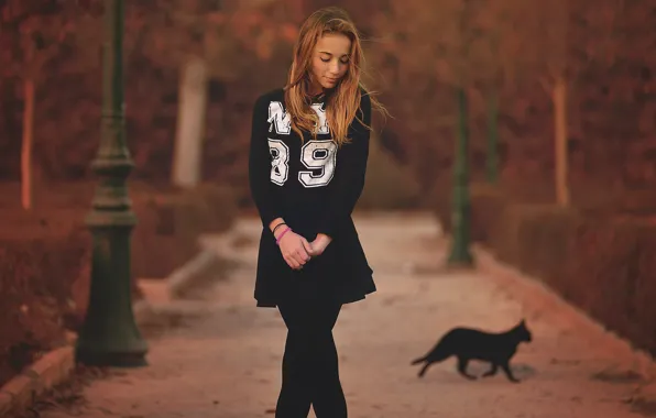 Picture autumn, girl, figure, alley, in black, black cat