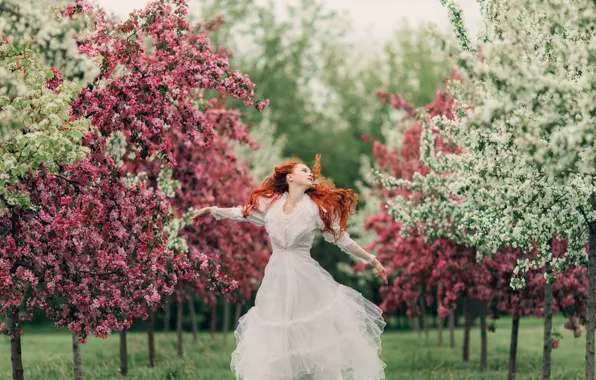 Picture grass, trees, flowers, nature, woman, spring, bokeh