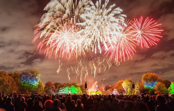 Lights, Park, England, London, salute, fireworks, Battersea